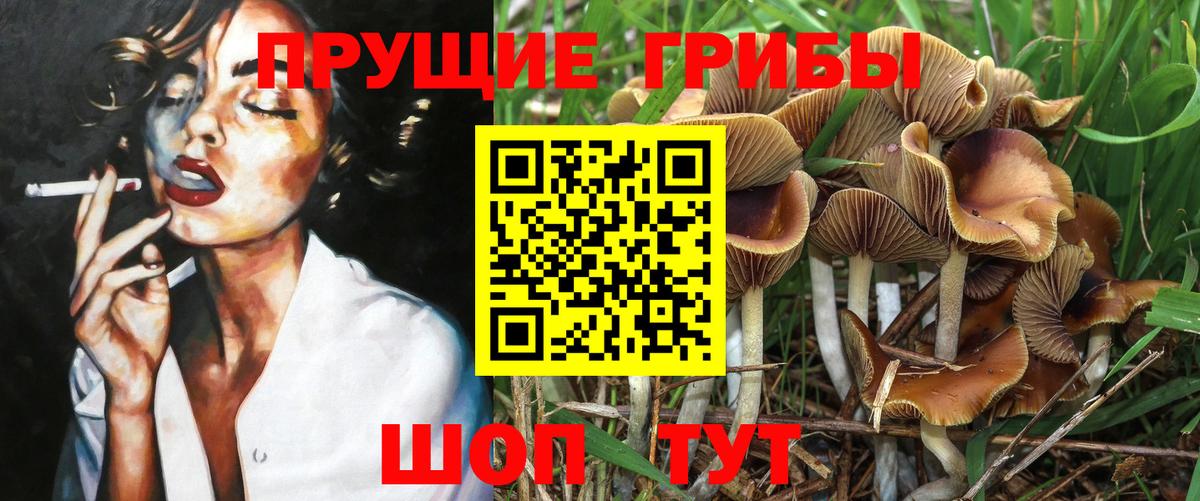 Воткинск  Галлюциногенные грибы ЛСД  Вход с VPN 
